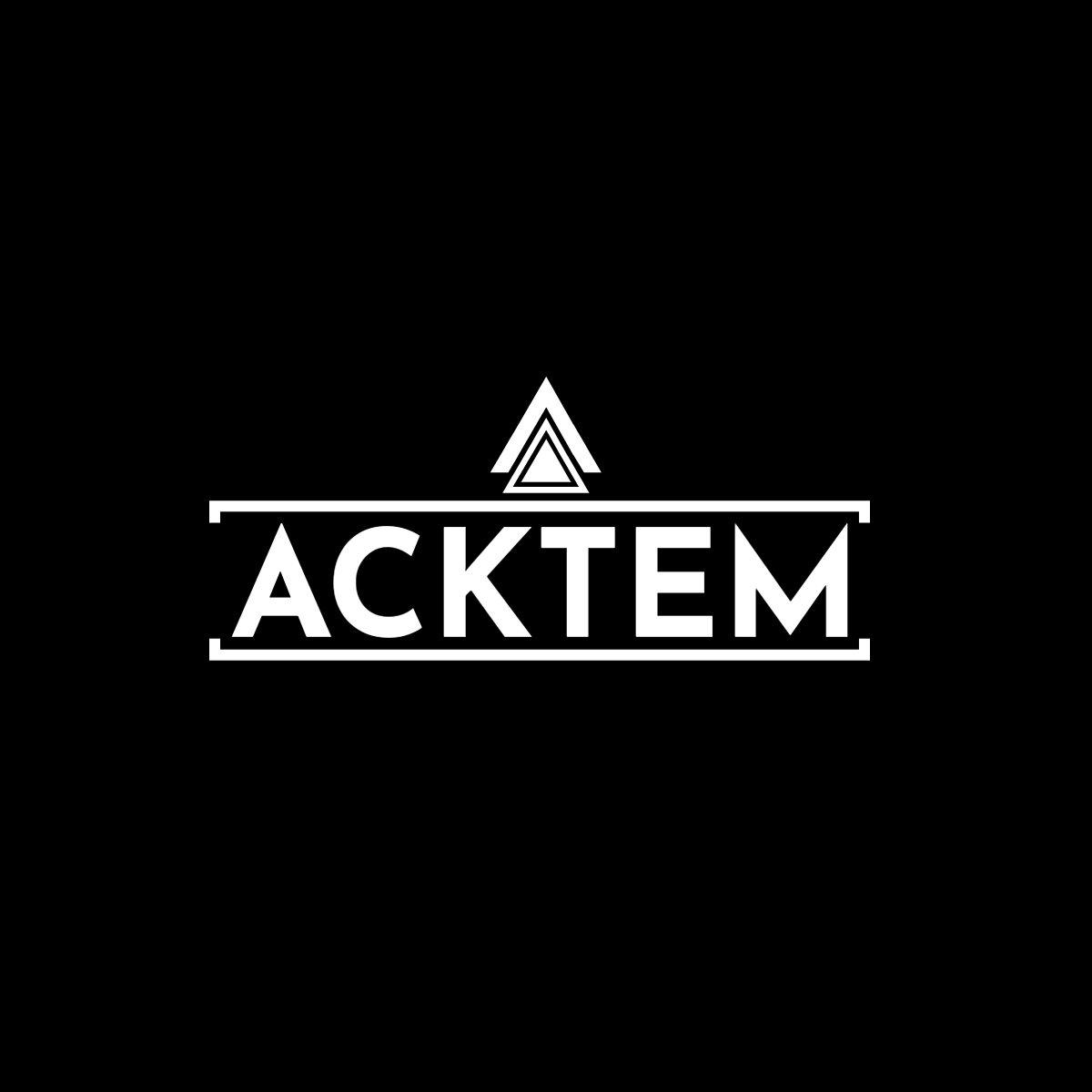 Aktim Enterprise LLC
